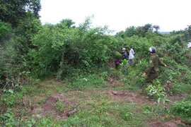 Vợ bị sát hại, chồng khóc thương khiến mắt có nguy cơ mù loà