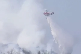 Cháy rừng ở Thủ đô Seoul, 120 nhà dân phải sơ tán