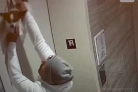 Cứu chú chó bị vướng dây xích vào cửa thang máy