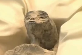 Mexico mở phiên điều trần về hài cốt 1.000 năm tuổi nghi ‘người ngoài hành tinh’