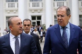 Nga, Thổ Nhĩ Kỳ thảo luận mở rộng lệnh ngừng bắn khắp Syria