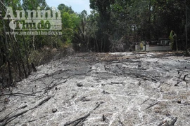 Đốt rẫy, con trai bị thiêu cháy, cha bỏng nặng