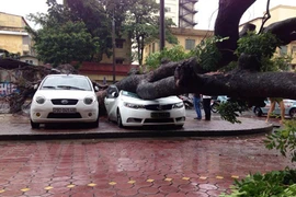 Xà cừ trước cửa Tháp Hà Nội bất ngờ đổ sập, đè bẹp ôtô