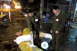 Nội tạng động vật được vận chuyển bằng xe khách chất lượng cao