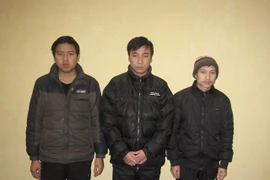 Bắt giữ Ban lãnh đạo Cty kinh doanh gian hàng ảo, lừa đảo trên 7 tỷ đồng