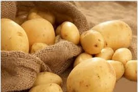 Nhét khoai tây vào “chỗ kín” để…tránh thai