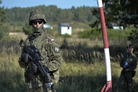 Ba Lan phê chuẩn thành lập lữ đoàn quân sự chung với Ukraine, Litva