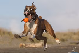 Những khoảnh khắc “khó đỡ“