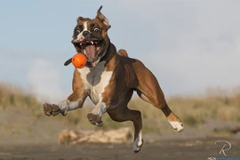 Những khoảnh khắc “khó đỡ“