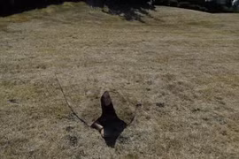 Mỹ thử nghiệm công nghệ mới giúp binh lính có thể “tàng hình”