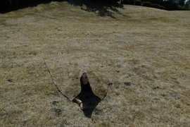 Mỹ thử nghiệm công nghệ mới giúp binh lính có thể “tàng hình”