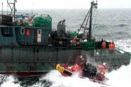 Hải quân Hàn Quốc bắn cảnh cáo tàu tuần tra Trung Quốc