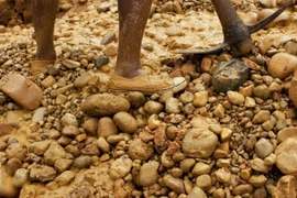 Khai thác vàng trái phép ở Peru: Lời hơn cả buôn cocaine