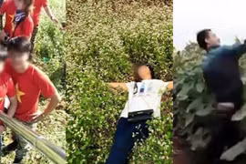 Yêu hoa, thưởng hoa cũng cần có văn hóa