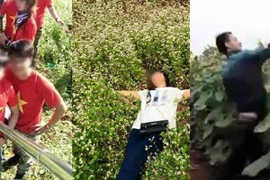 Yêu hoa, thưởng hoa cũng cần có văn hóa