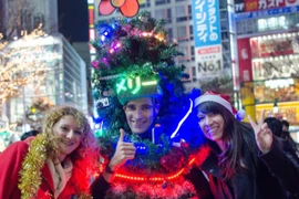 Đóng giả cây thông Noel