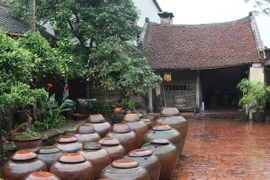 Tôn tạo, tu bổ 10 ngôi nhà cổ Đường Lâm