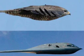 Infographic: Top 10 máy bay có tốc độ nhanh nhất thế giới