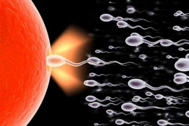 Mới nhất: Chỉ được hiến tinh trùng, noãn, phôi trong những trường hợp nào?
