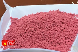 Triệt phá đường dây vận chuyển gần 6.000 viên ma tuý tổng hợp từ Điện Biên về Hà Nội