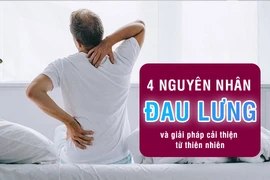 4 nguyên nhân đau lưng và cách cải thiện từ thiên nhiên