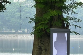 Cần xử lý nghiêm đối tượng đập phá cột đèn tại Công viên Thống Nhất