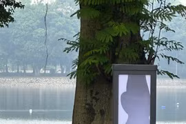 Cần xử lý nghiêm đối tượng đập phá cột đèn tại Công viên Thống Nhất