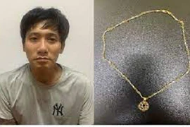 Bắt đối tượng cướp giật dây chuyền của phụ nữ ở quận Long Biên