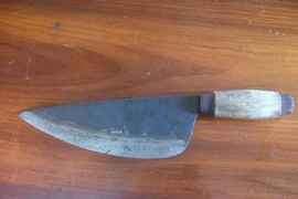 Tiếng hét bất thường trong nhà nghỉ