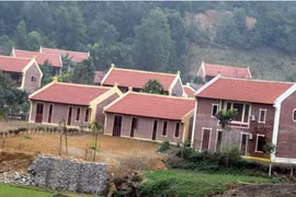 Kỷ luật bí thư, chủ tịch để xảy ra vi phạm trật tự xây dựng gây bức xúc