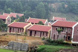 Kỷ luật bí thư, chủ tịch để xảy ra vi phạm trật tự xây dựng gây bức xúc