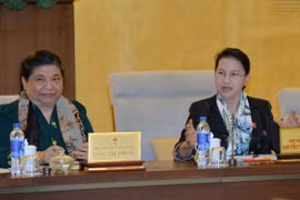 "Sửa luật mà lại đi giao đặc ân cho một doanh nghiệp là hết sức vô lý"