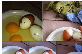 Không thể có chuyện trứng gà bị tiêm máu nhiễm HIV