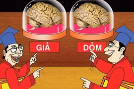 Cán bộ lại lộ bằng giả 