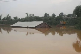 Lũ sau đau hơn lũ trước