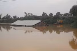 Lũ sau đau hơn lũ trước