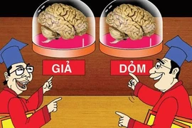 Cán bộ lại lộ bằng giả 