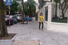 Hà Nội: Đề xuất dùng gạch bê tông giả đá lát hè thay vì đá tự nhiên