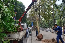 Sở Xây dựng Hà Nội đình chỉ công tác 3 cán bộ