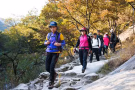 Bảo hiểm du lịch: Không thể coi nhẹ