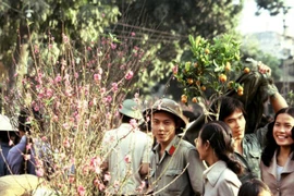 Việt Nam 30 năm trước qua ống kính nhà báo Pháp