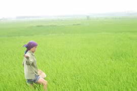 Hàng loạt Trung tâm "ma" kiểm nghiệm phân bón (2): Làm liều, chứng nhận bừa 