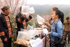 Bán túi khí sạch cho du khách thành thị