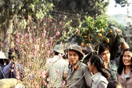 Việt Nam 30 năm trước qua ống kính nhà báo Pháp