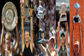 Bông hồng thép trong bão tố