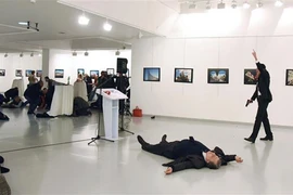 Điều tra nguyên nhân cảnh sát Thổ Nhĩ Kỳ không bắt sống kẻ ám sát Đại sứ Nga