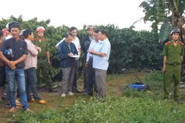 Trưng cầu kết quả giám định tâm thần đối với hung thủ gây trọng án ở Gia Lai