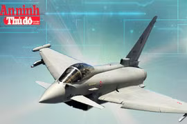 [Infographic] Uy lực tiêm kích đa năng Eurofighter E/F 2000 Việt Nam có thể mua