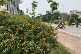 Nhân sự: Đủ tâm, đủ tầm tạo sự thống nhất, đồng thuận cao trong bộ máy