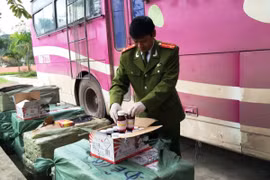 Học sinh lớp 8 bơm thuốc thực vật vào bình nước ở lớp để hại bạn 